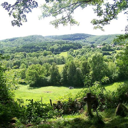 Petite Ferme D'Autrefois Villa Saint-Georges-Nigremont Bagian luar foto